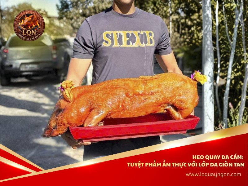 heo-quay-da-cam-nguyen-con