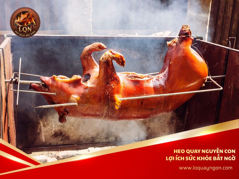 heo-quay-nguyen-con-lon