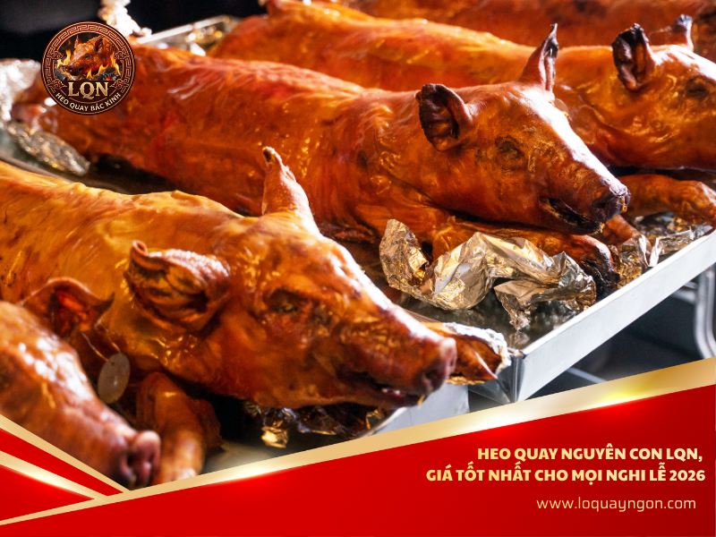 heo-quay-nguyen-con-gia-tot-2026