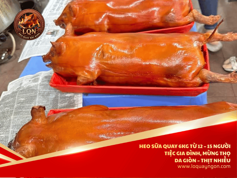 heo-sua-quay-6kg-ngon
