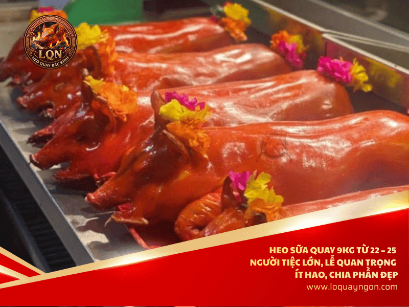 heo-sua-quay-9kg-ngon